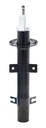sp236 (B)
