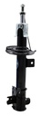 41601-m60m01 (B)