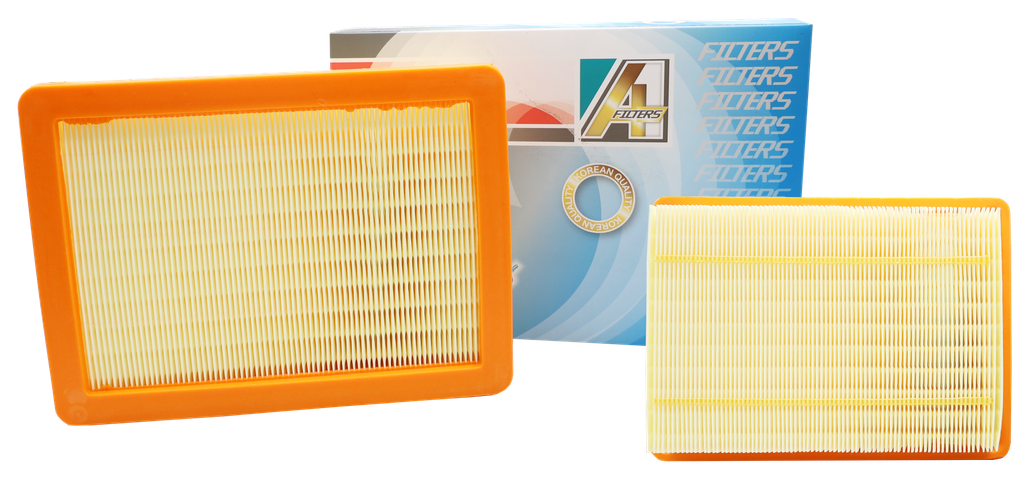 FILTRO DE AIRE DONGFENG FORTHING T5 EVO
